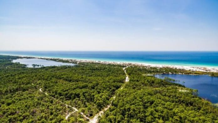 Dune Allen,Beach access,