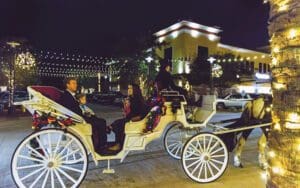 Grand Blvd Christmas Carriage Ride R2 800x500 (1)