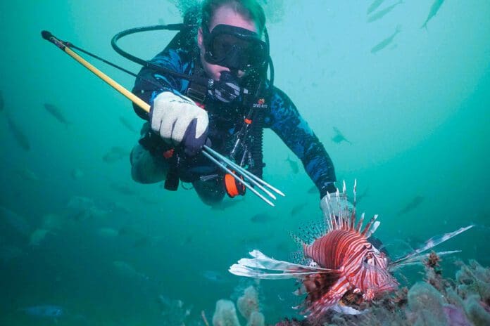 Worlds largest,lionfish,tournament,