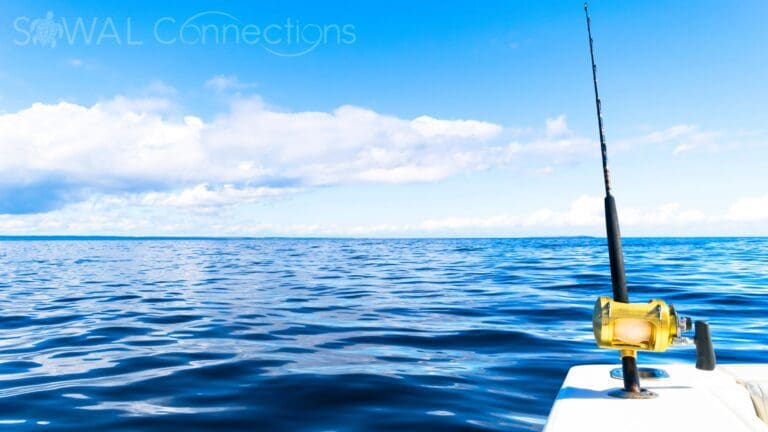 A Fishing Guide History and Secrets of Fishing in Destin A Fishing Guide History and Secrets of Fishing in Destin