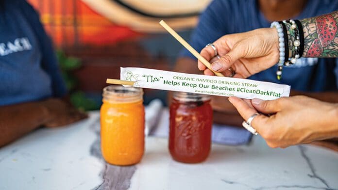 Theo Bamboo Straws