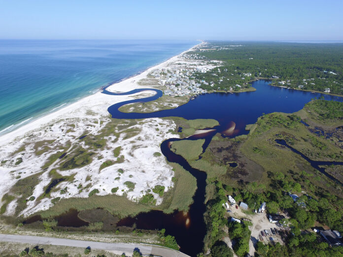 Grayton Beach State Park