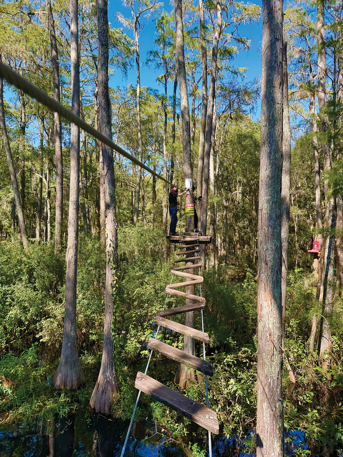 Tallahassee Museum zipline1